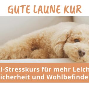 Gute Laune Kur
