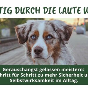Mutig durch die laute Welt