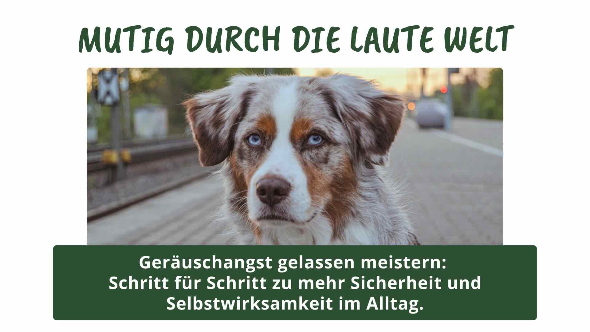 Mutig durch die laute Welt