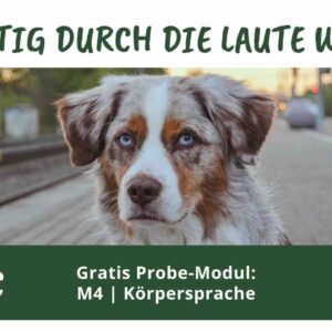 Mutig durch die laute Welt Probe-Modul