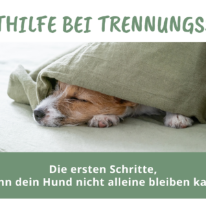Soforthilfe bei Trennungsstress